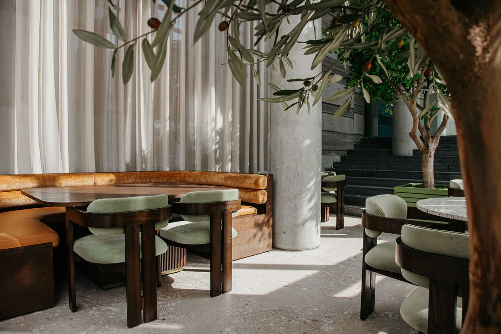 Höfðatorg — an olive tree over the banquette, the concrete columns behind.